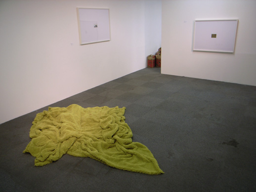 Tetsuro Kano's installation work, consisting of plants that will gradually grow out of this rug.