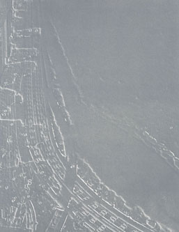 Jane Dixon, 'Regeneration IV' (Chicago), 2007, 74.5 cm x 57.5 cm, Etching