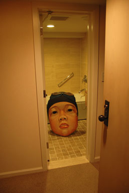 Looking into Mizuma Art Gallery's bathroom, and its occupant looking back.