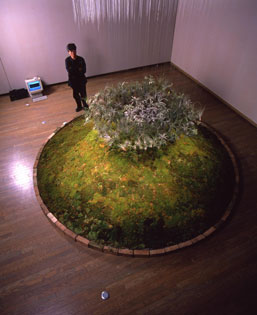 Yuji Dogane, 'AirMoss Plantron' (1998)