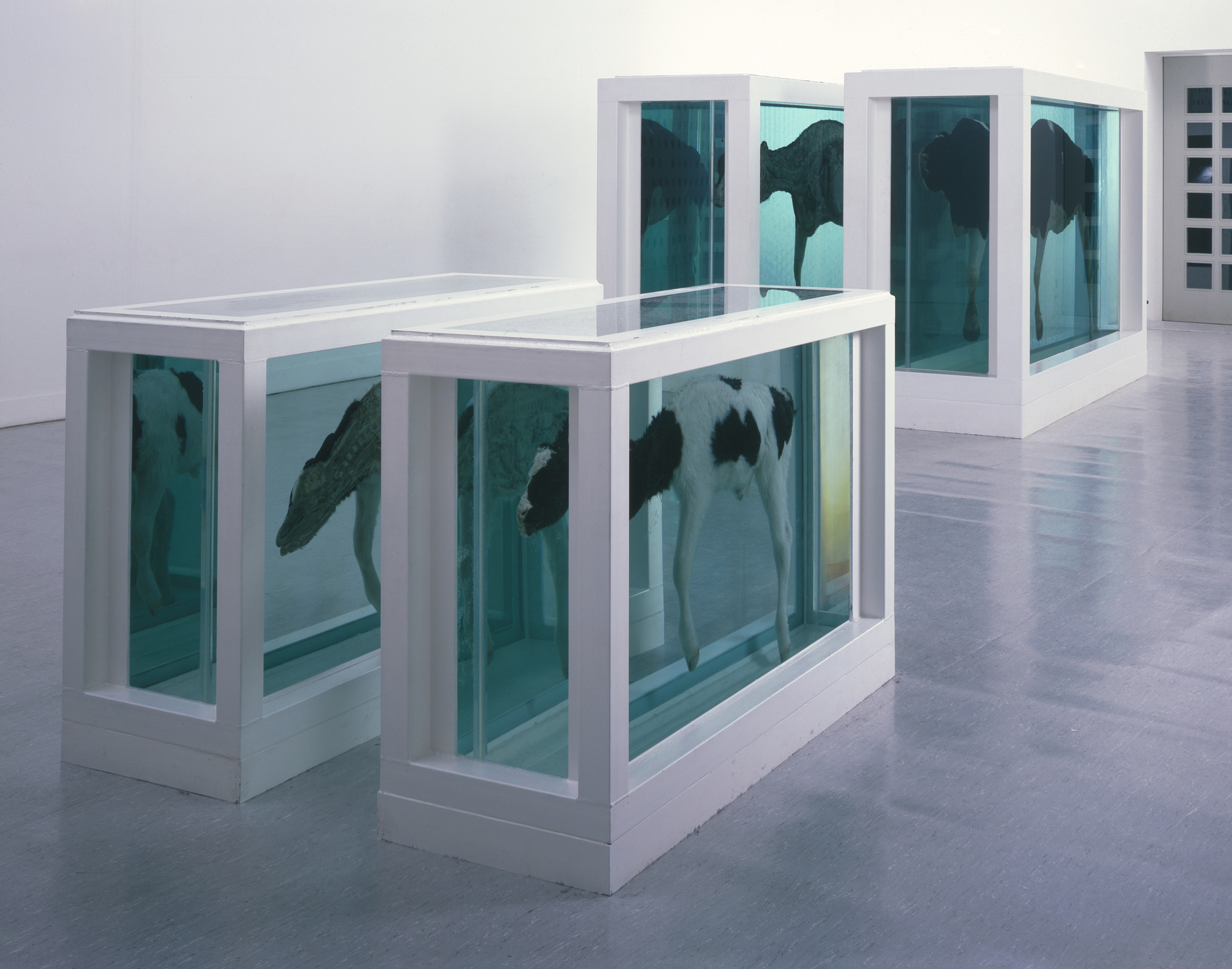 Damien Hirst, 'Mother and Child, Divided' (1993) 208.6 x 332.5 x 109cm (x2), 113.6 x 169 x 62cm (x2); steel, GRP composites, glass, silicone, cow, calf, formaldehyde solution
