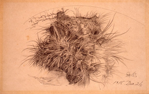 Michisei Kono, 'Green Grass' (1916) Pencil on Paper, 19 x 29.5cm