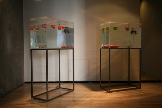 Shimabuku, 'Something to Float / Something to Sink' (2008)
Vegetables, water tank, iron stand