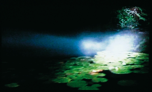 Janet Cardiff & George Bures Miller, 'Night Canoeing' (2004)
Mixed Media Installation (17 min. loop, colour, sound)
