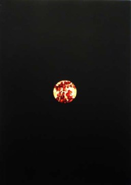 Chikako Hasegawa, 'Holes - Punica Granatum 9' (2009)
Acrylic on canvas mounted on panel.
42 x 29.7 x 3.4 (cm)