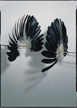 Rebecca Horn, 'The Raven’s Twin' (1997)