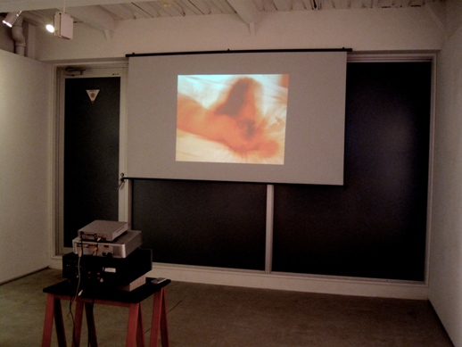 A projector went through a slideshow of different photos.