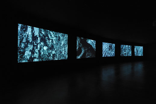 Jae-Eun Choi, 'Forever and a Day' (2010) video installation 
Photograph: Shigeo Muto