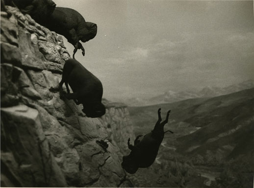 David Wojnarowicz, 'Untitled (Falling Buffalo)' (1988-89)