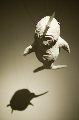 Kate Rohde's narwhale hanging over the stairs of the museum.