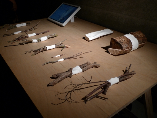 France-based Israeli designer Arik Levy's exhibit showed trees plastered to trees.