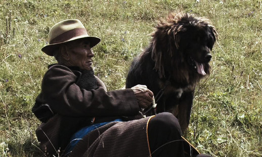 Pema Tsuden, 'Old Dog' (2011) China, 88 minutes