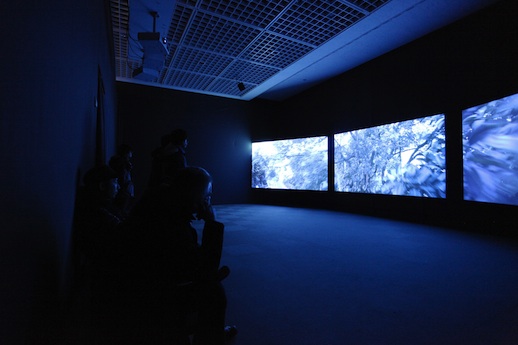 Goang-ming Yuan, 'Disappearing Landscape — Passing II' (2011)
Exhibition at 4th Yebisu International Festival for Art and Alternative Visions 'How Physical' (2012)