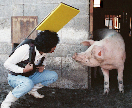 Tatsumi Orimoto 'Performance (I Show the Yellow Painting Board to the Pig)' (1969)