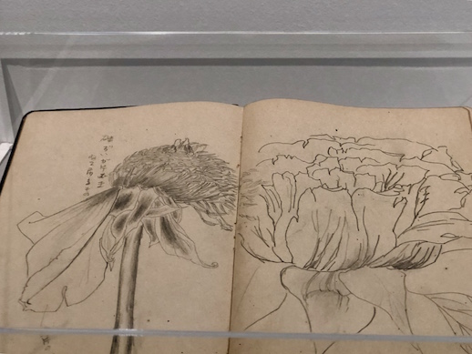 Yayoi Kusama, 'Untitled—Flower Sketches' (1945)