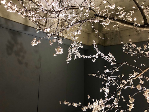 Bontaro Dokuyama, 'Synchronized Cherry Blossom' (2019)