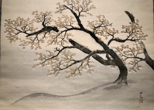Taikan Yokohama, 'Mountain Cherry Trees' (1934), Yamatane Museum of Art