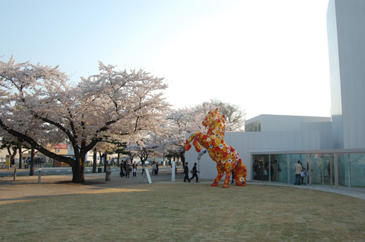 建物を取り囲む芝生広場には、街路から気軽にアクセスできる。写真中央は美術館前の「官庁街通り」とも縁のある馬と季節の花をモチーフにしたチェ・ジョンファの作品