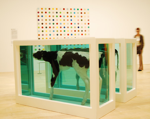 Damien Hirst　手前≪Mother and Child Divided≫奥≪Lysergic Acid Diethylamide≫