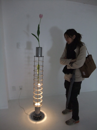 「シャングリラ」展より。人工の光が観葉／観用に改良された植物を照らしている