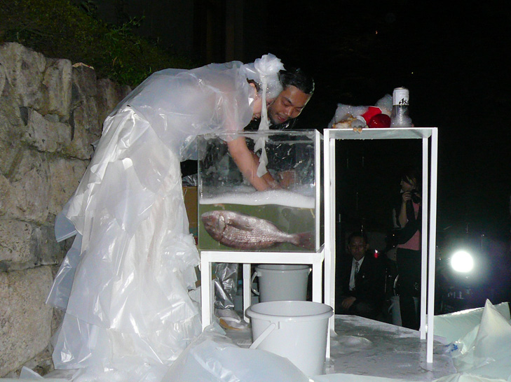 「洗浄」中の新婚カップル。「めでたい」の鯛も水槽の中で洗浄。