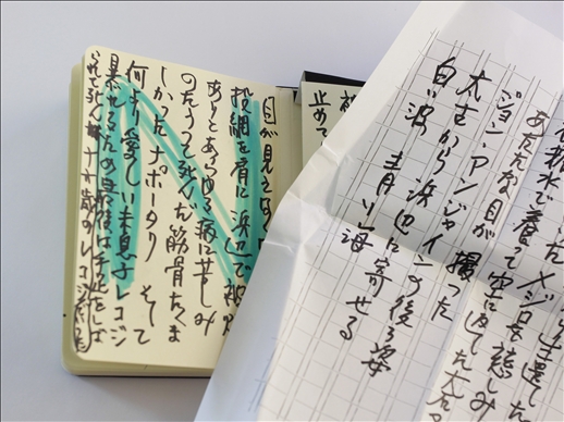 シンプルな「No」という言葉がつづられたページの上に、その否定的な世界とは対照的な新井自らが日本語で書いた言葉が横糸と縦糸が織られるように重なる