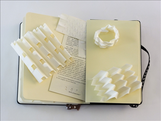 さまざまな形や３次元の小さなマルチプルがついた、ひと目を惹くカットワークの作品となっており、本を彫刻に様変わりさせている