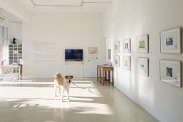 2015年6月に多目的ギャラリーとしてリニューアルオープンしたゼロダテアートセンター。あいにいける秋田犬が常駐