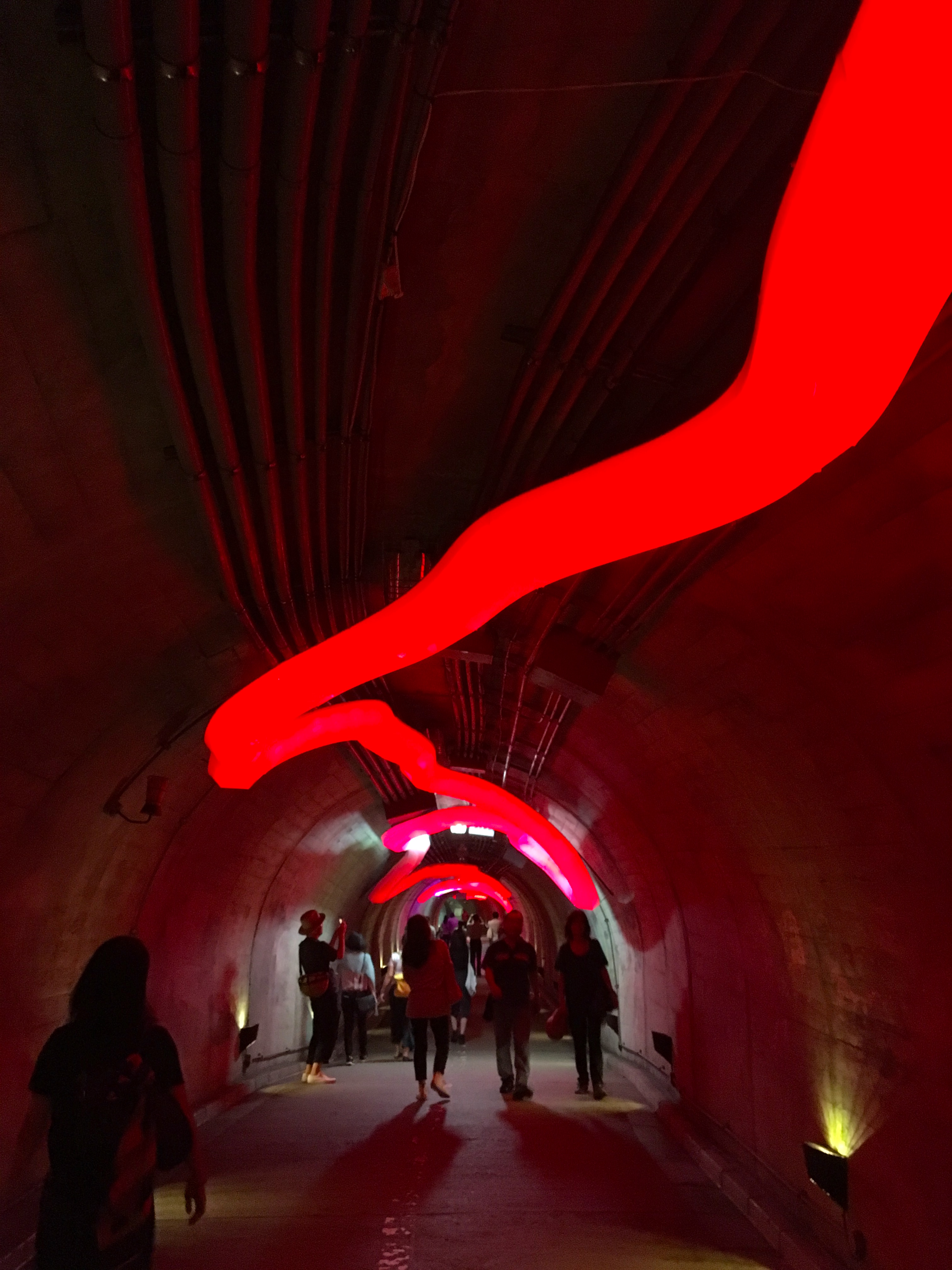 全長130mの巨大インスタレーションがトンネル入り口から、袋田の滝まで続く