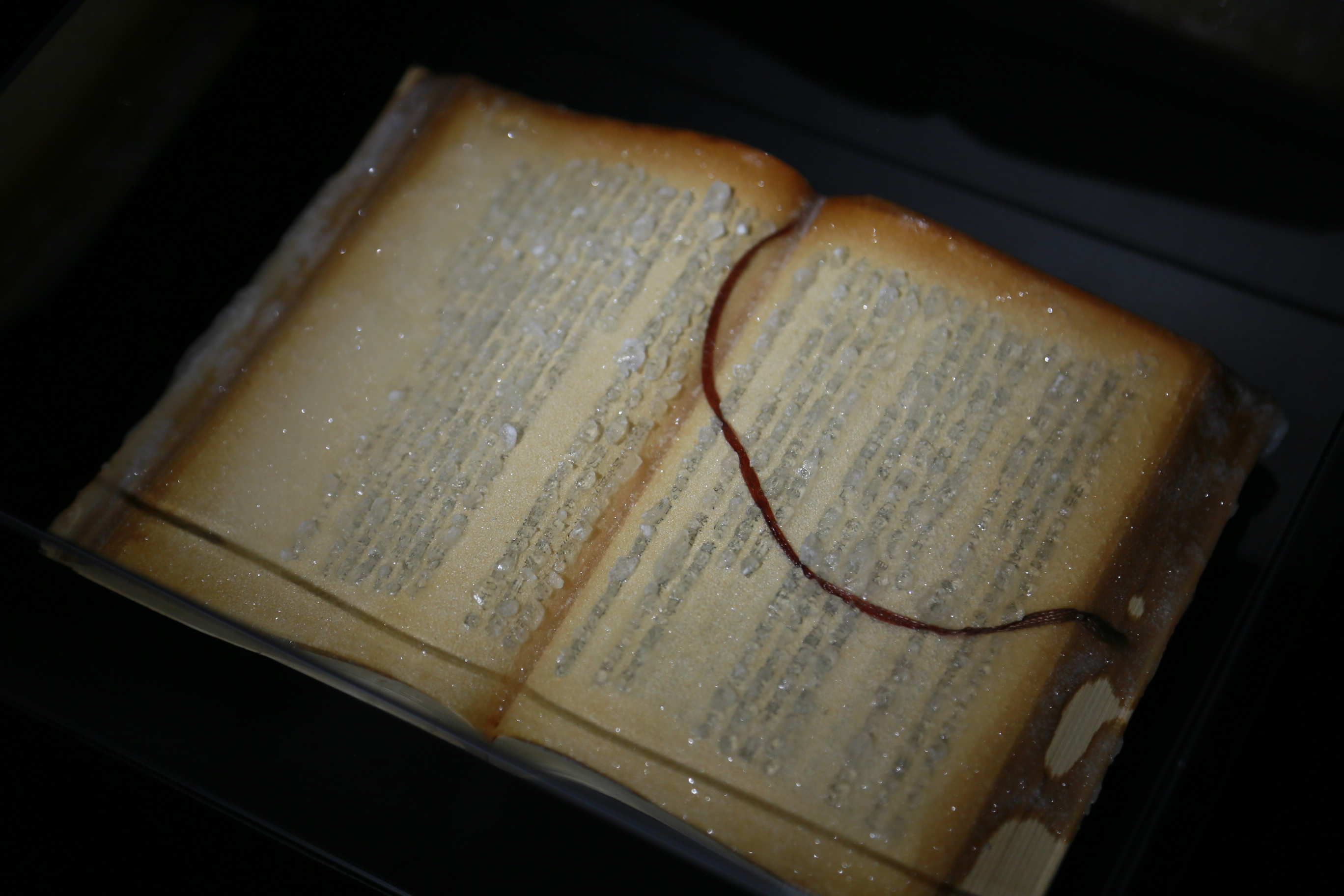 食料を保存する「砂糖漬け」の技法を使って本を固めた作品。記憶を砂糖で閉じ込められた本は陶器のような質感を帯びている