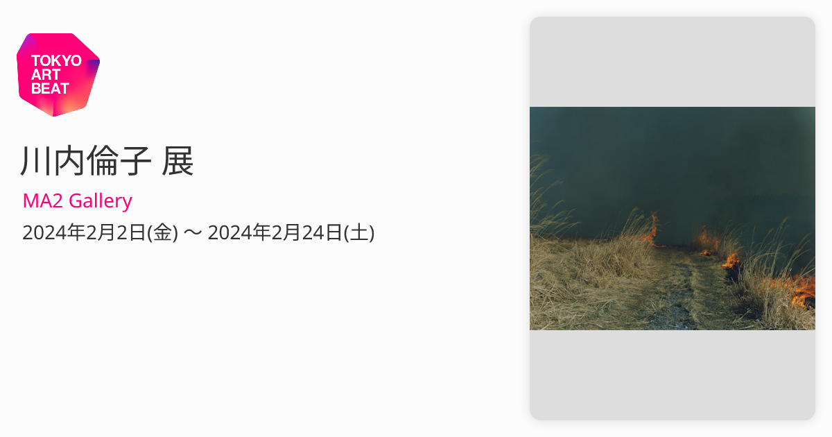 アートポスター 川内倫子 エキシビジョンポスター アートポスター 川内倫子 エキシビジョンポスター 2025年最新