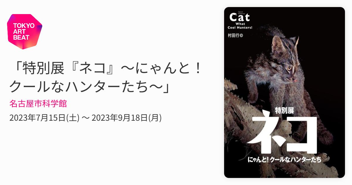 HUNTER×HUNTER 新聞広告 仮面ネコ【 開封、発送前動画撮影】 ハンター