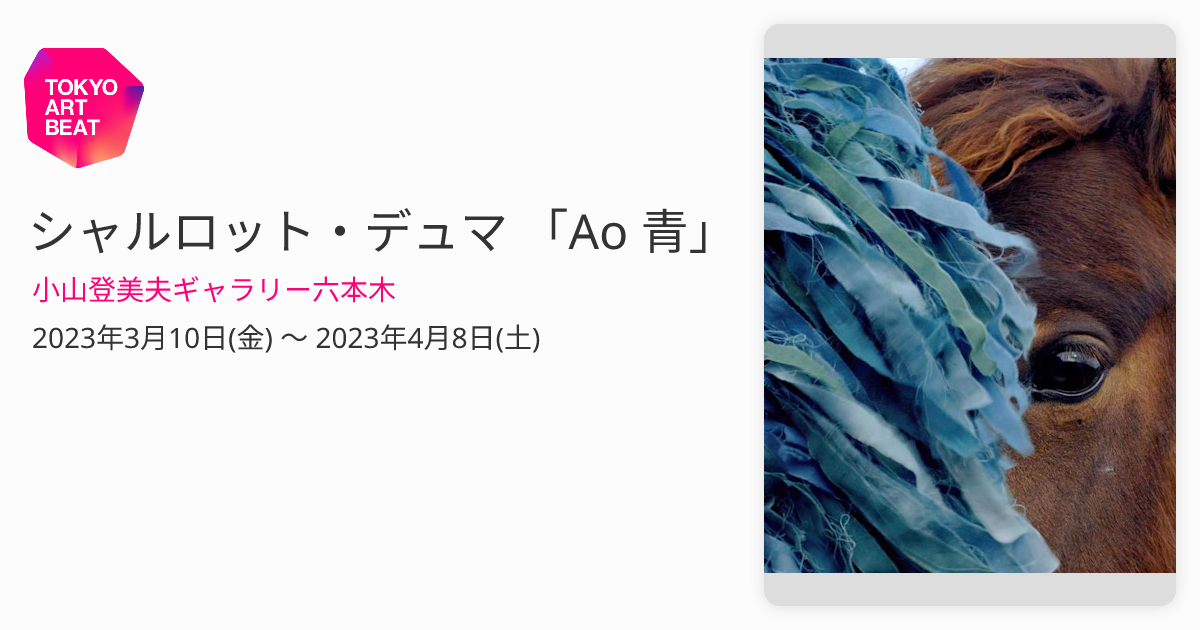 プリント Charlotte Dumas シャルロット・デュマ エルメス 写真集