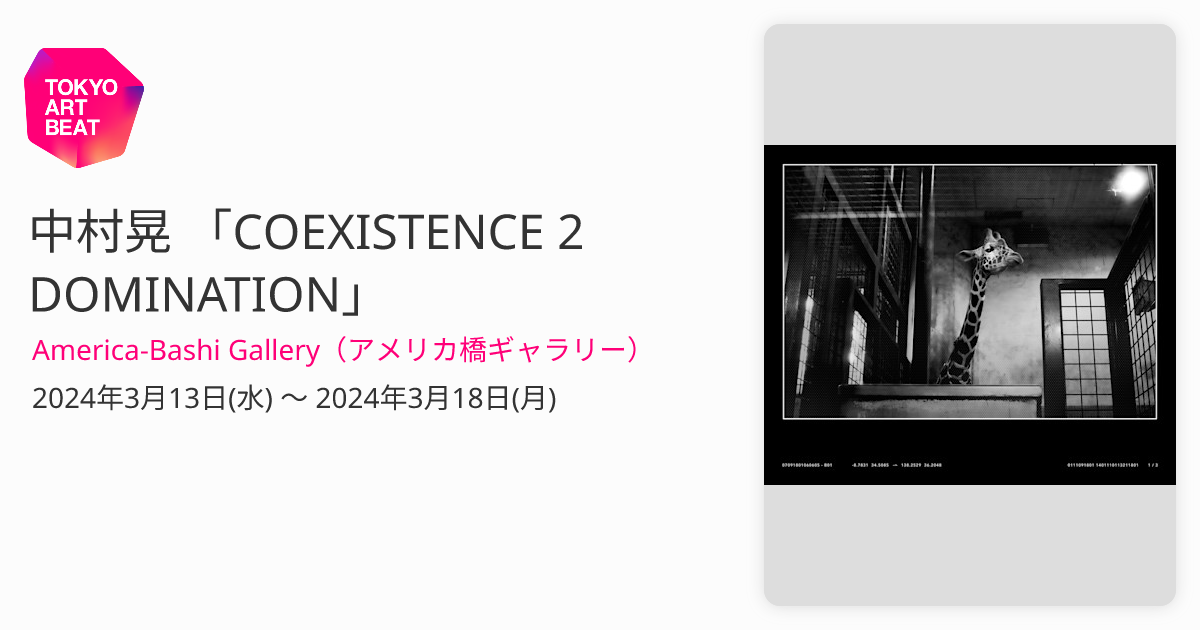 中村晃 「COEXISTENCE 2 DOMINATION」 （America-Bashi Gallery