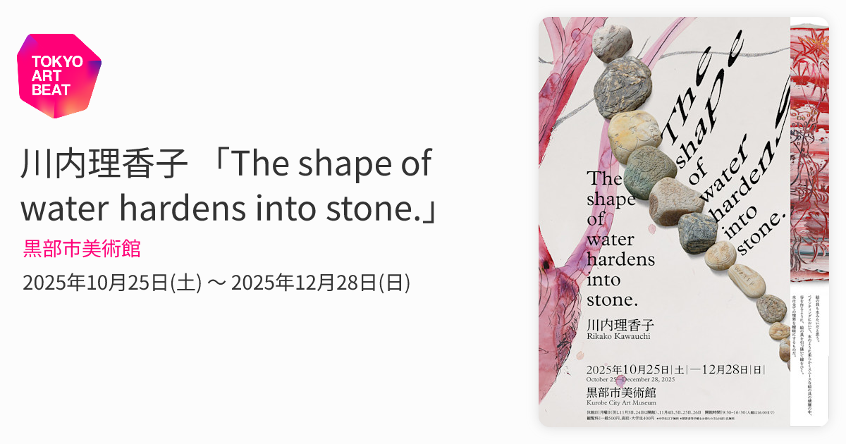 川内理香子 「The shape of water hardens into stone.」 （黒部市