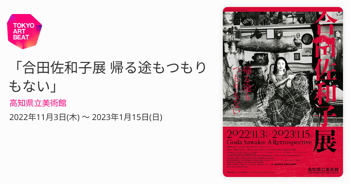 合田佐和子展 帰る途もつもりもない」 （高知県立美術館） ｜Tokyo Art