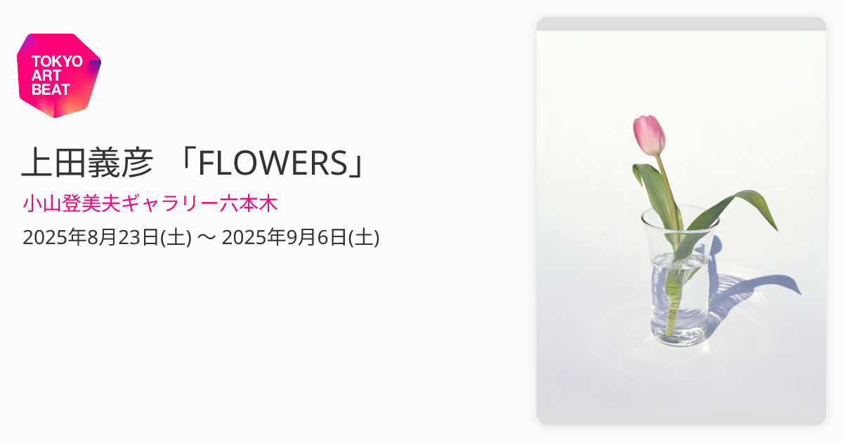 上田義彦 「FLOWERS」 （小山登美夫ギャラリー六本木） ｜Tokyo Art Beat
