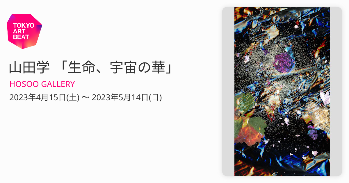 山田学 「生命、宇宙の華」 （HOSOO GALLERY） ｜Tokyo Art Beat