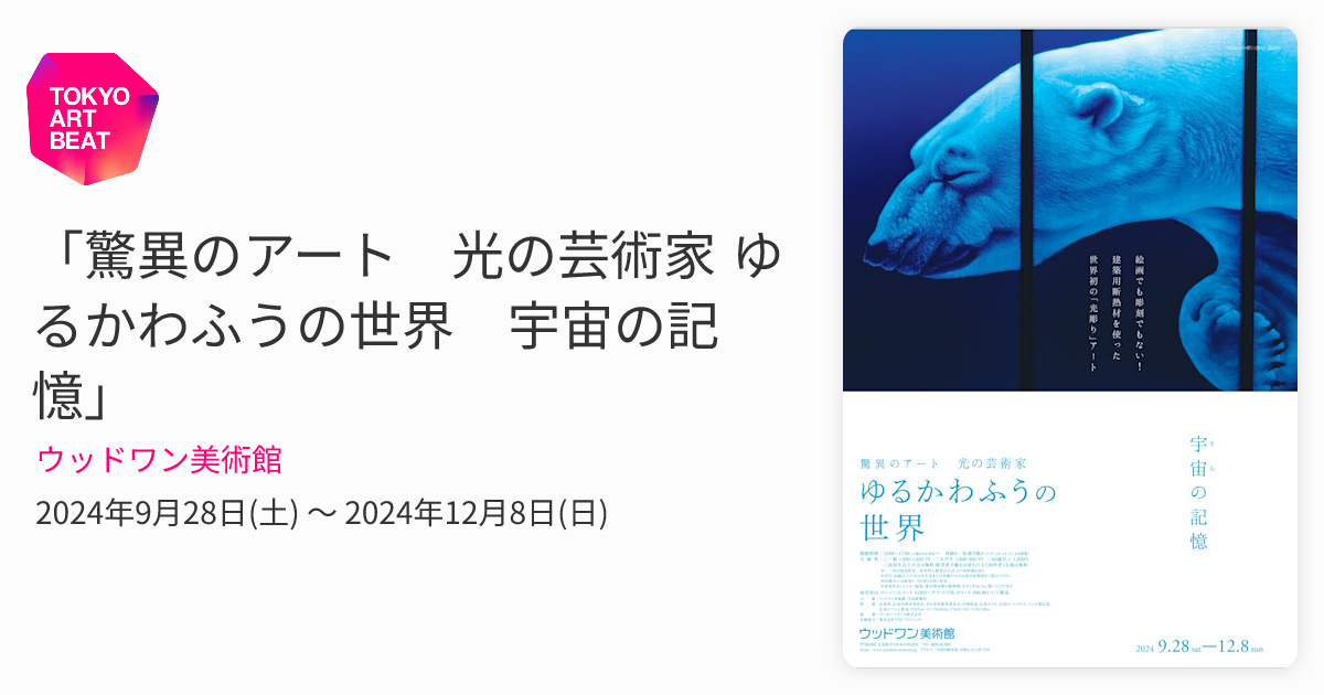 驚異のアート 光の芸術家 ゆるかわふうの世界 宇宙の記憶