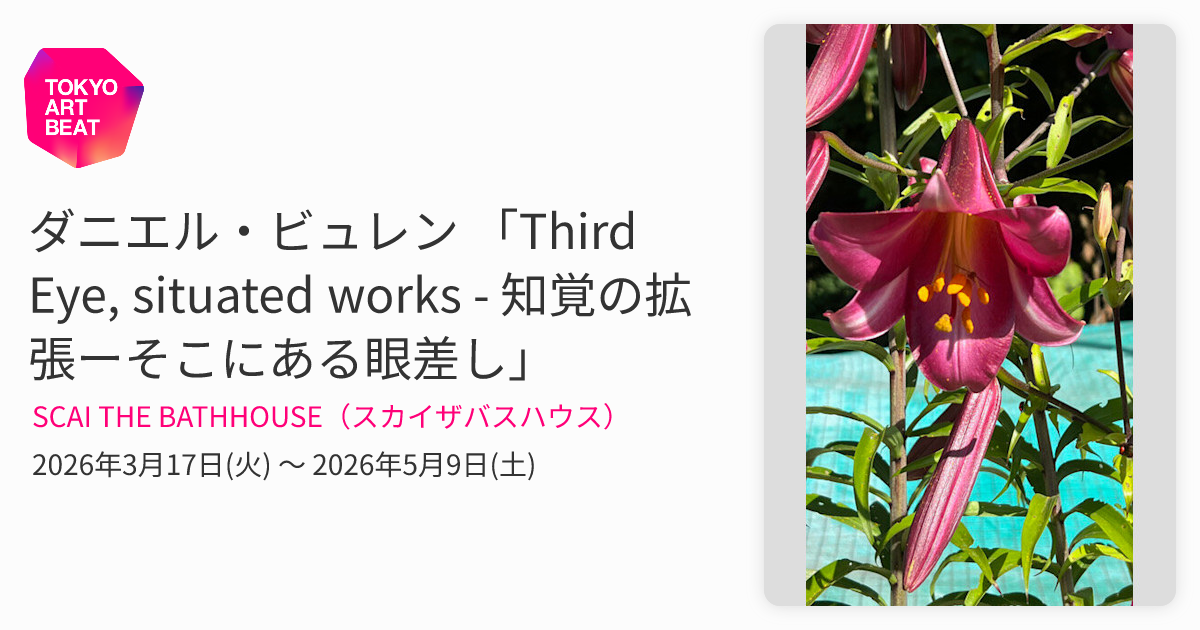 ダニエル・ビュレン 「Third Eye, situated works - 知覚の拡張ーそこ