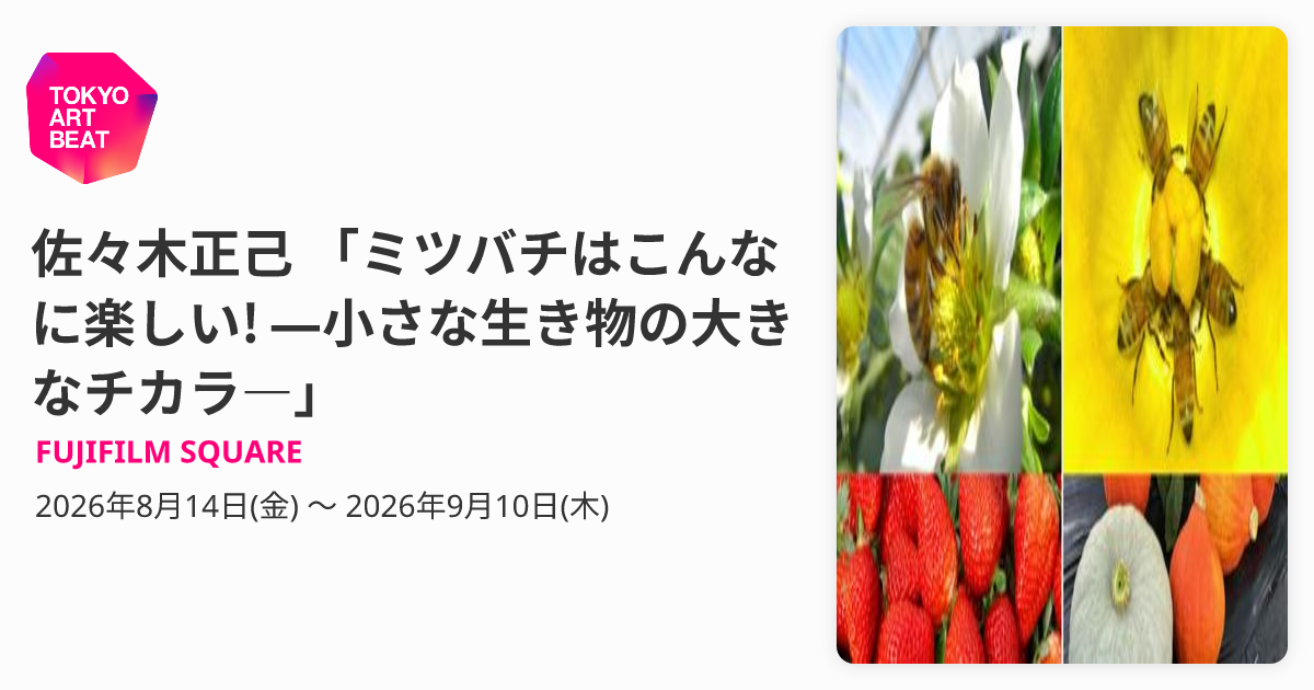 佐々木正己 「ミツバチはこんなに楽しい! ―小さな生き物の大きなチカラ