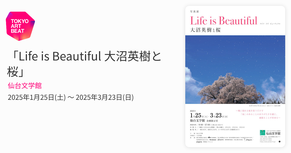 Life is Beautiful 大沼英樹と桜」 （仙台文学館） ｜Tokyo Art Beat