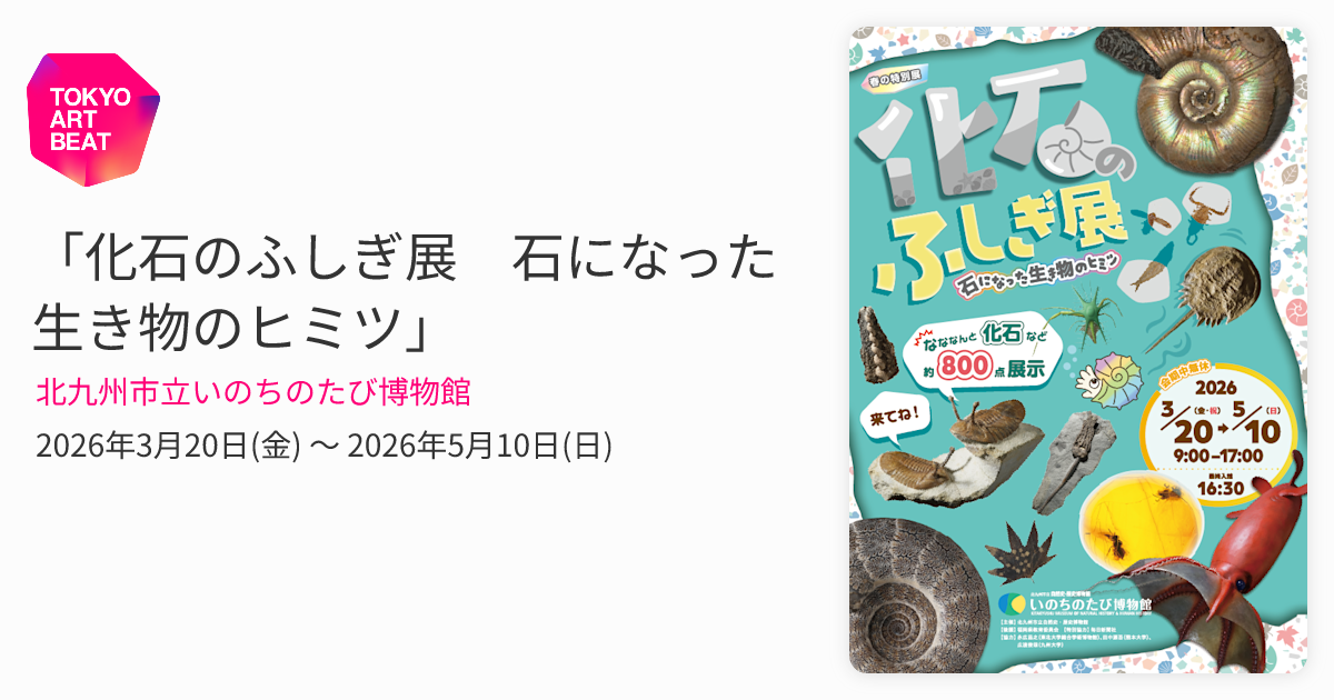 化石のふしぎ展 石になった生き物のヒミツ」 （北九州市立いのちのたび