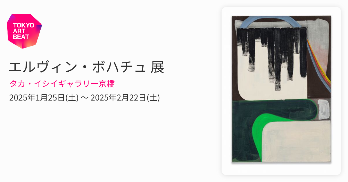 本 展覧会図録 エルヴィン・ボハチュ