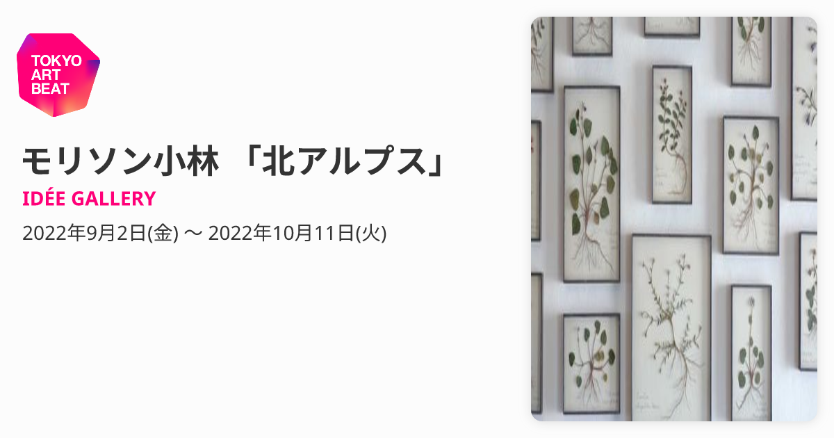 モリソン小林 「北アルプス」 （IDÉE GALLERY） ｜Tokyo Art Beat