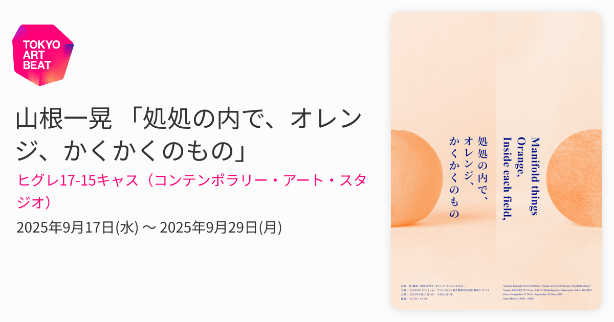コンテンポラリーアート,栗山ナカノ,無題,10号油彩,兵庫の無名現代美術 コンテンポラリーアート,栗山ナカノ,無題,10号油彩,兵庫の無名現代美術