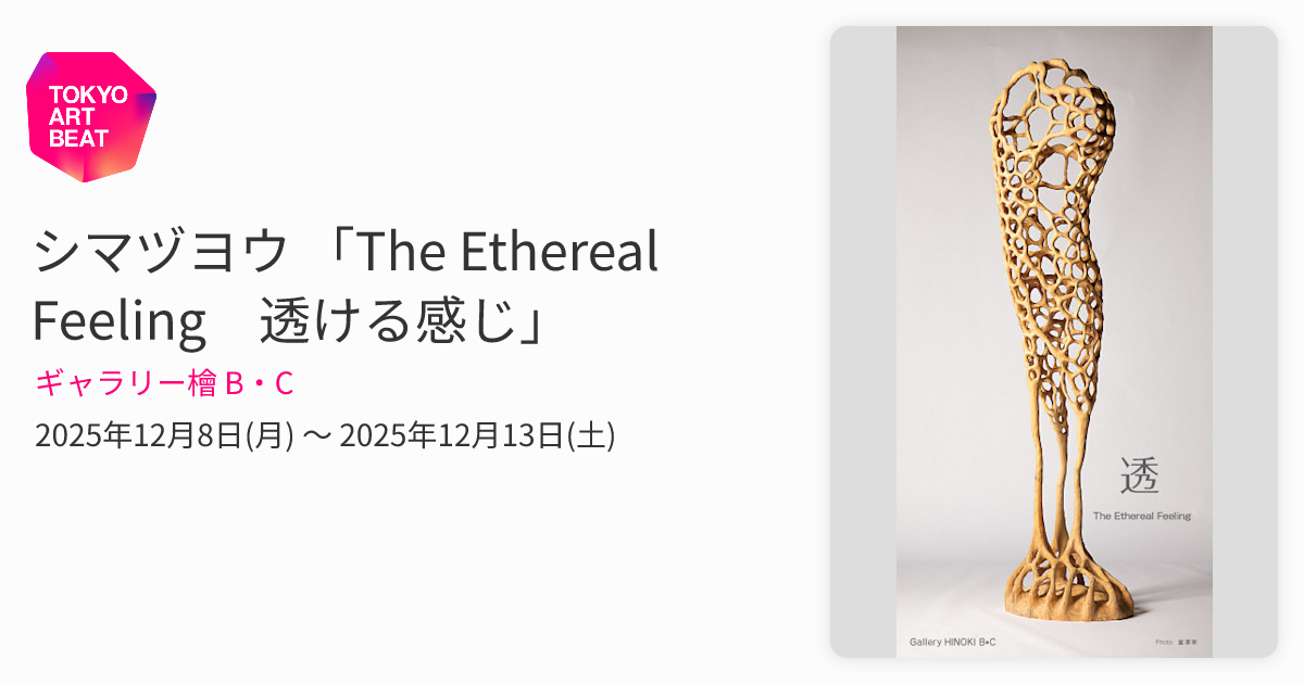 シマヅヨウ 「The Ethereal Feeling 透ける感じ」 （ギャラリー檜 B・C