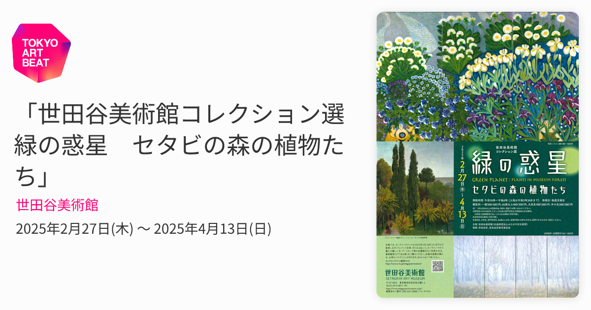 世田谷美術館コレクション選 緑の惑星 セタビの森の植物たち