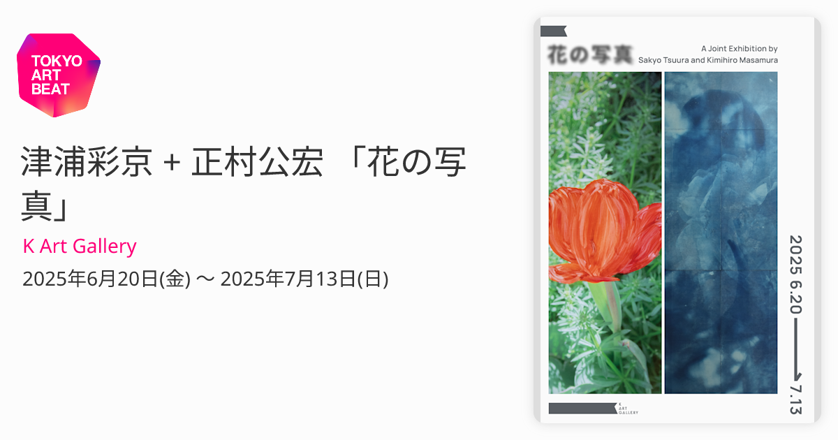 田染幸雄、【春光】、希少な額装用画集より、新品額装付、状態良好 田染幸雄、【春光】、希少な額装用画集より、新品額装付、状態良好