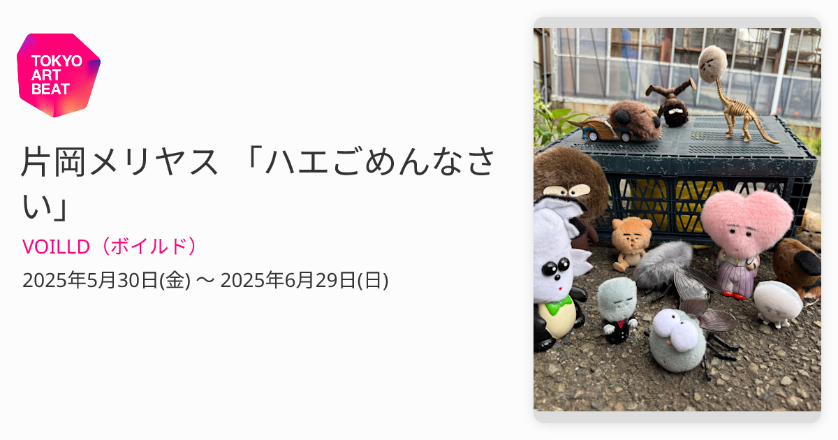 片岡メリヤス 「ハエごめんなさい」 （VOILLD（ボイルド）） ｜Tokyo
